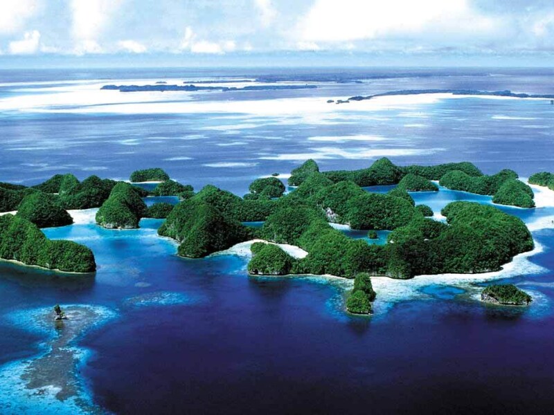 paradis - 10