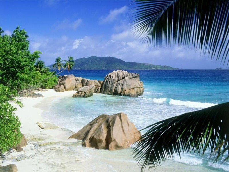 paradis - 11