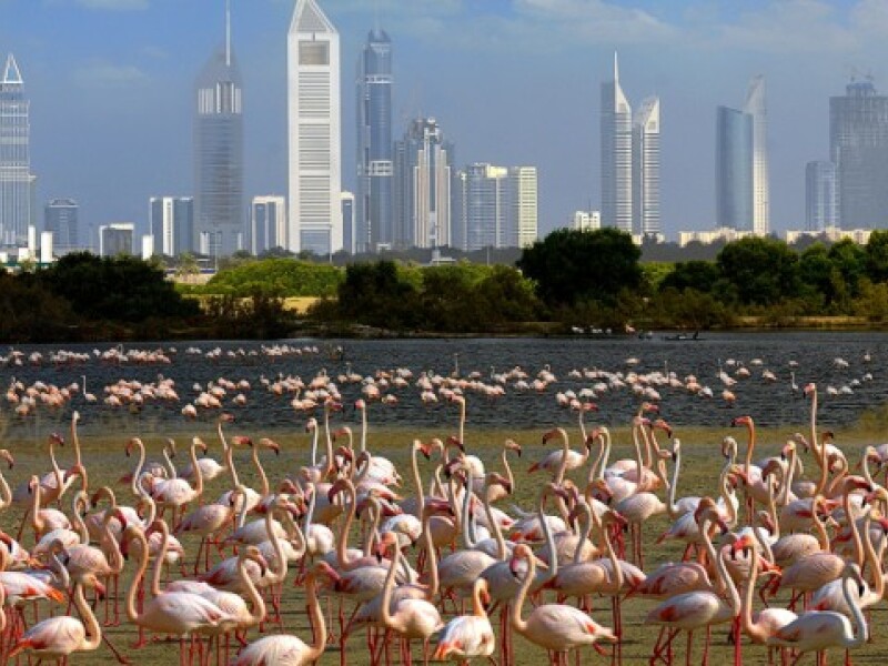 Dubai