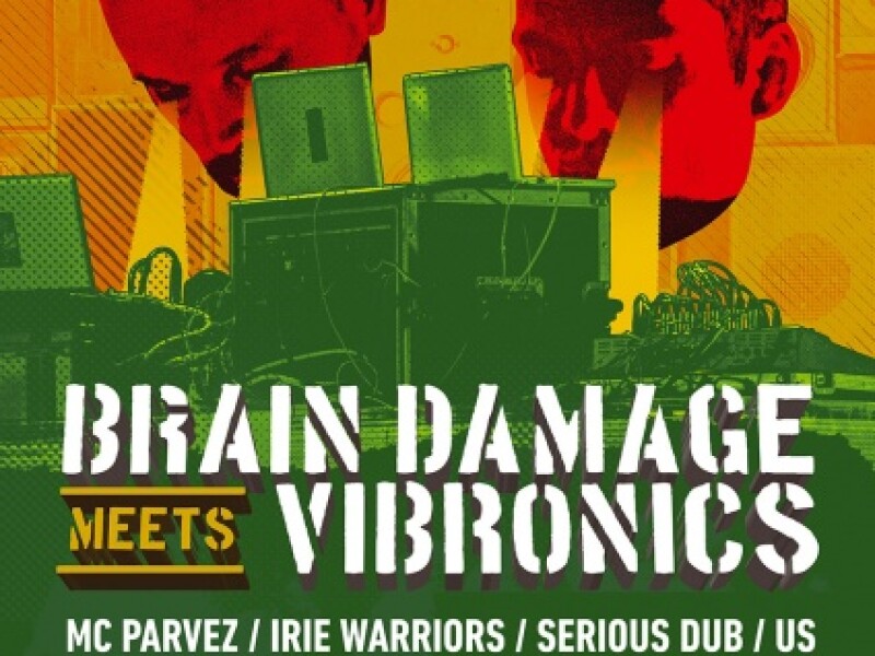 Brain Damage meets Vibronics