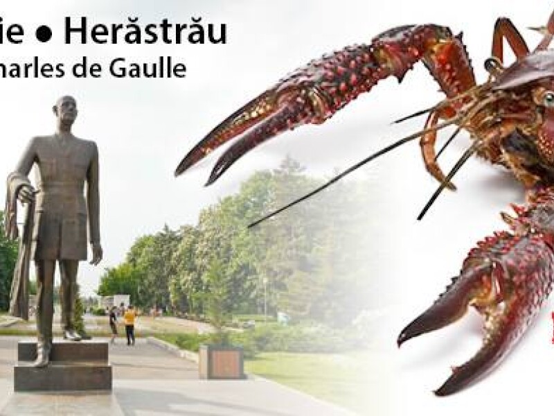 Festivalul Racilor 2014