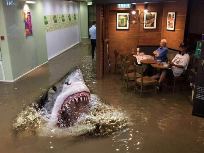 Povestea din spatele imaginii acesteia! Nu este Photoshop! Cum a fost facuta
