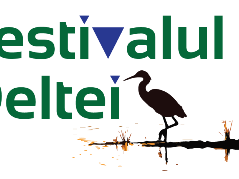 Festivalul Deltei - A doua editie - Parcul Lumea Copiilor