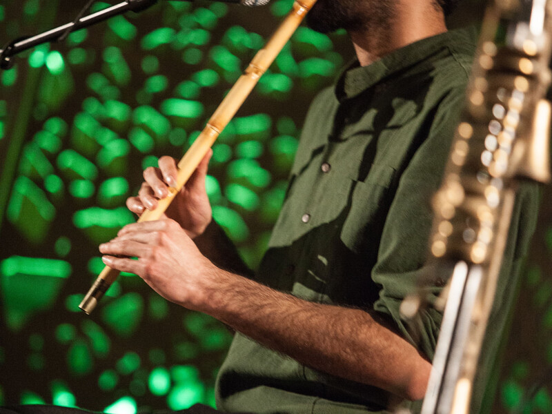 Mariei Tanase, concert, Mehdi Aminian