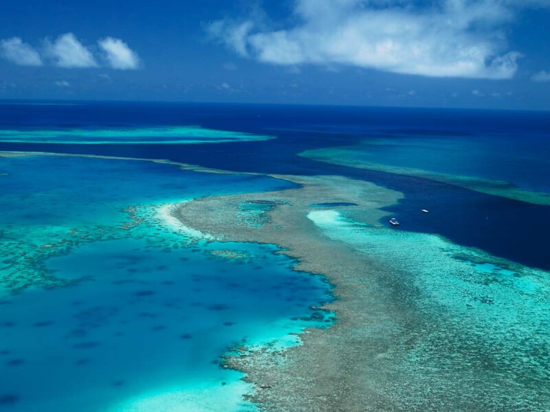 The Great Barrier Reef