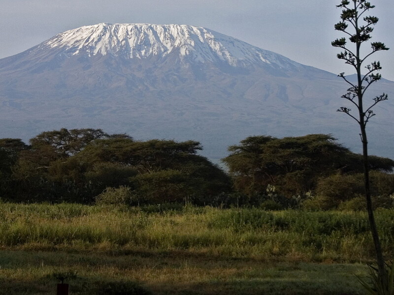 The Snow on Mt. Kilimanjaro