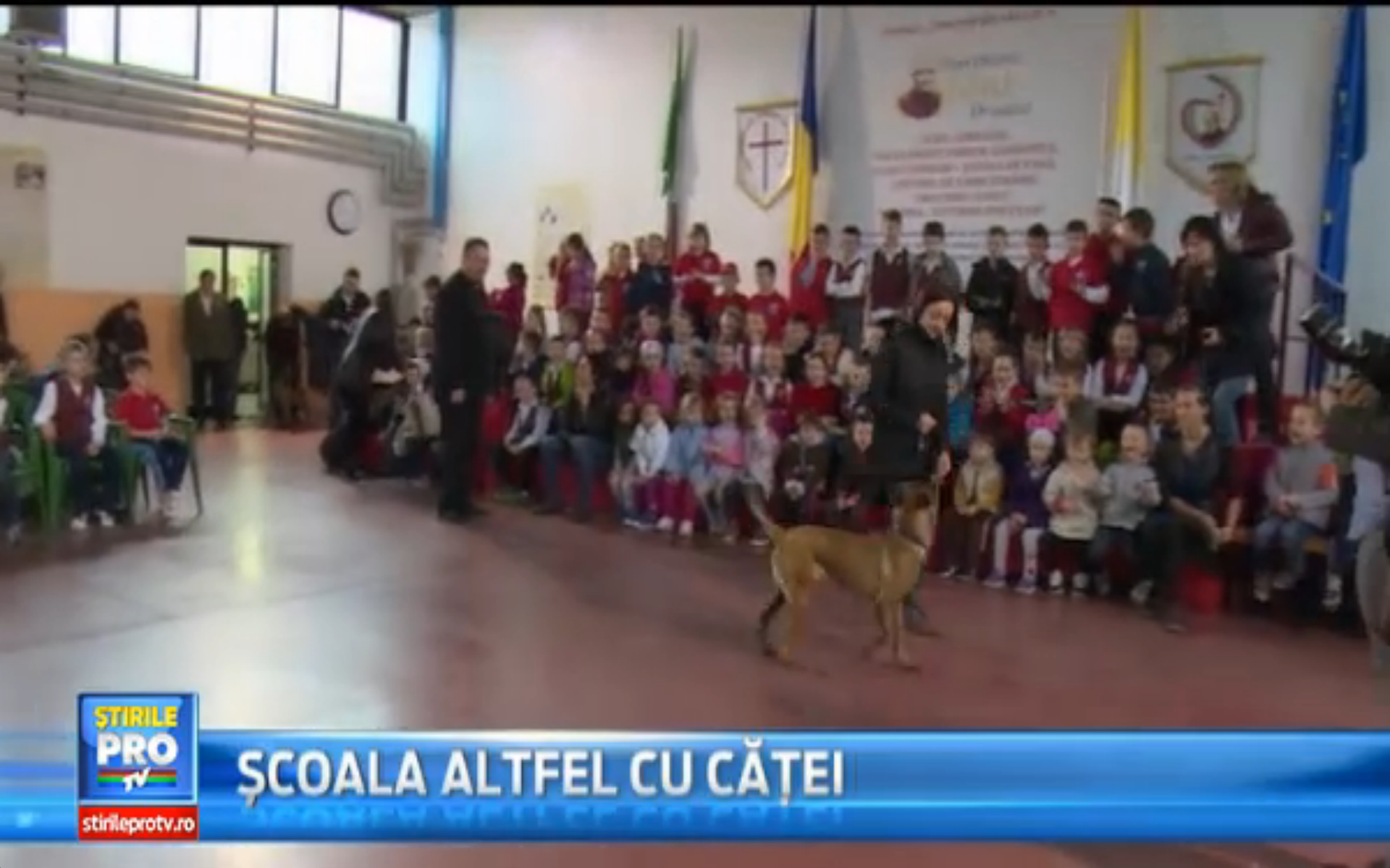 Demonstratii de dresaj canin la un liceu din Oradea, in saptamana 