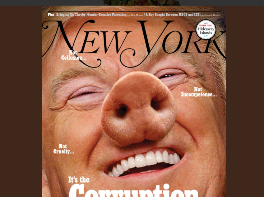 Trump a apărut pe coperta New York Mag într-o imagine trucată, care sugerează un porc
