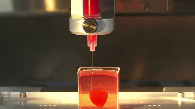 Prima inimă din țesut uman obținută cu ajutorul unei imprimante 3D, în Israel