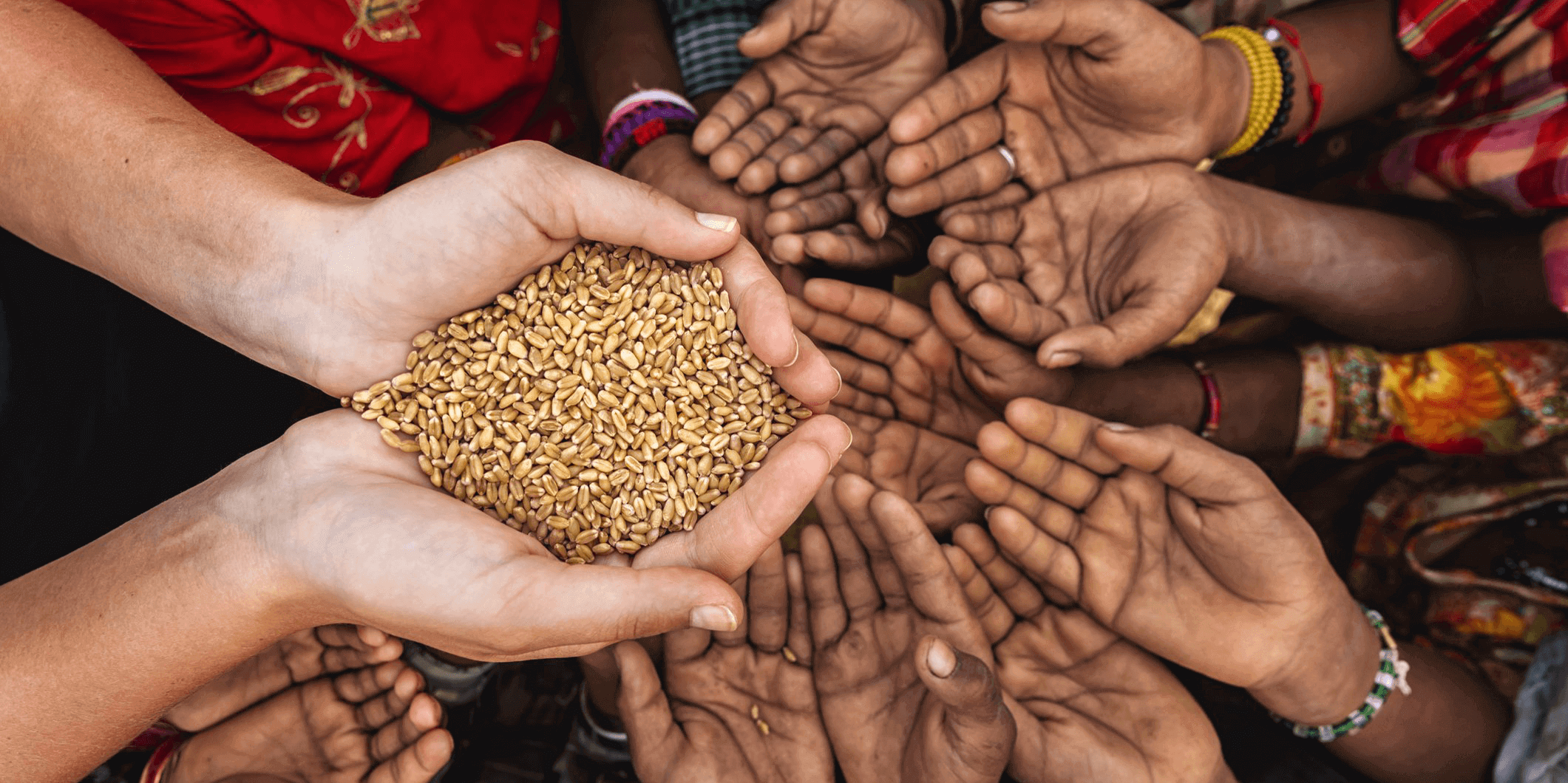 The Global Fund: Criza alimentară va duce la proliferarea unor boli ce vor face ''milioane de victime''