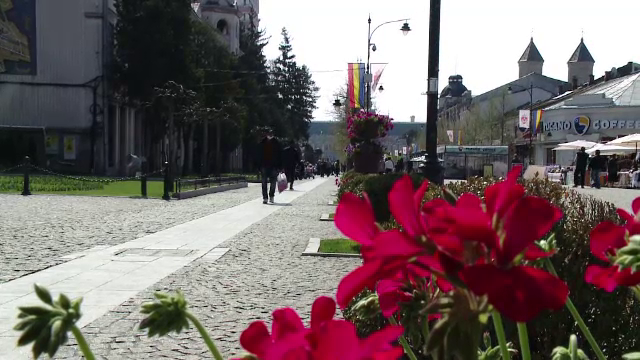 Peste 700 de mii de flori, plantate în Iași, înainte de Paște