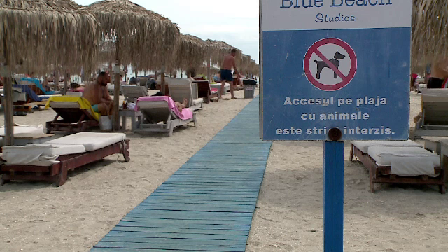 Animalele de companie ar putea avea voie pe plajă. Inițiativa legislativă, bine-primită de oameni