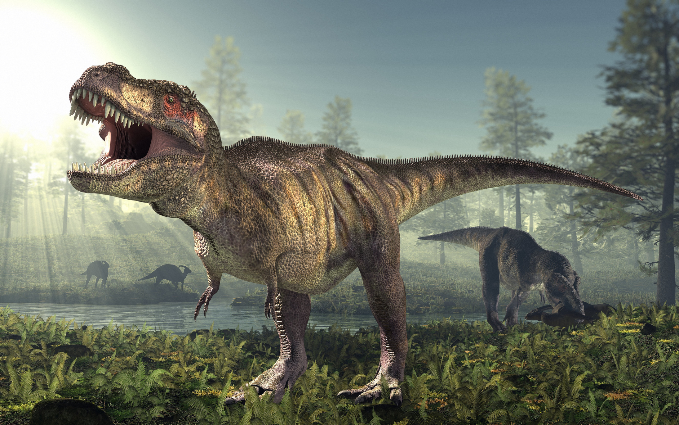 Studiu: Dinozaurul T-Rex, mai lent decât s-a crezut până acum. Putea alerga cu doar 5 km/h