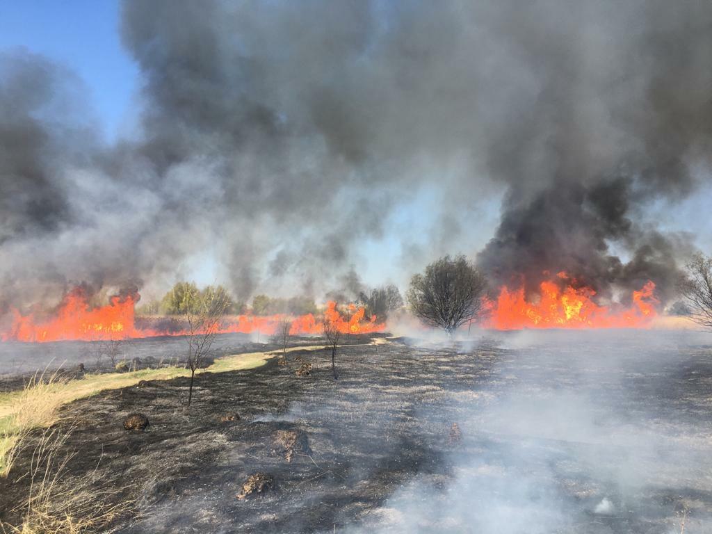 Incendiu de vegetație în Delta Văcărești. Suprafaţa afectată este de aproximativ 15.000 de mp. VIDEO