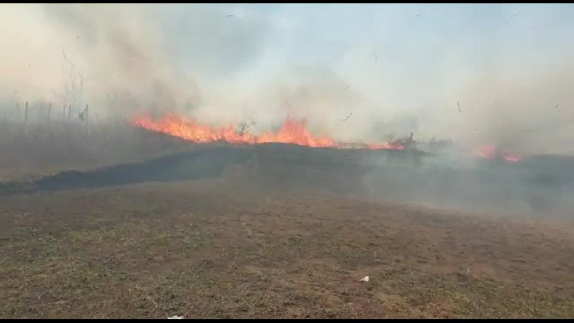 Incendiu de vegetație în Vaslui, peste 30 de hectare au fost afectate