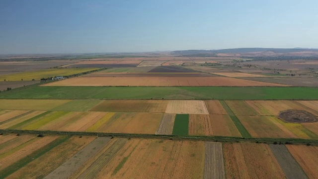 Cu peste 150 de mii de hectare pe care cultivă soia, România este printre principalii producători din UE