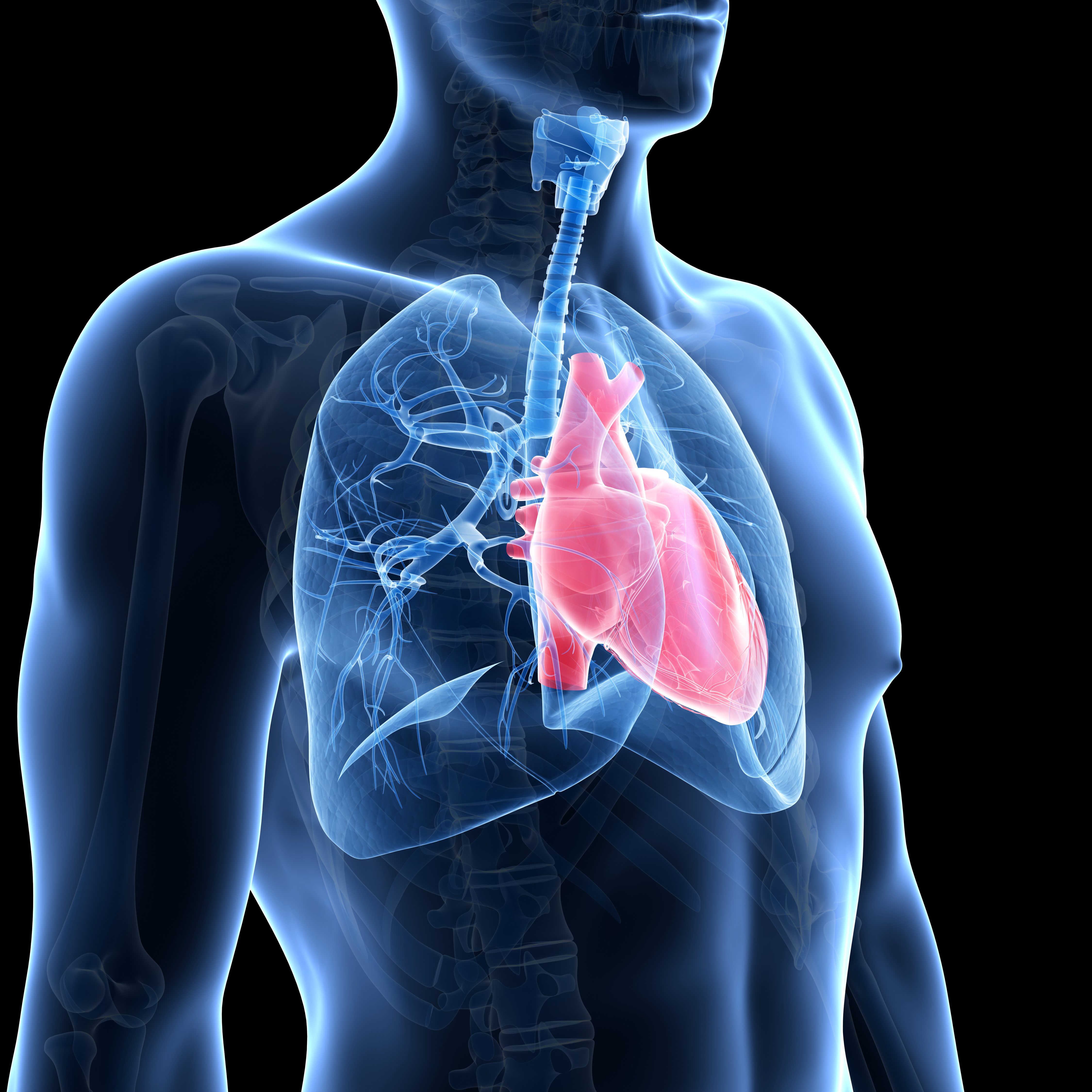 Ce este testul cardio-pulmonar, recomandat după vârsta de 35 de ani