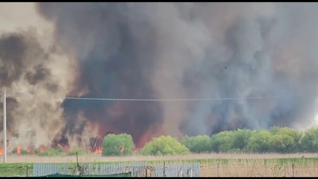 Incendiu de proporții în Delta Dunării. Intervenția pompierilor a fost extrem de dificilă