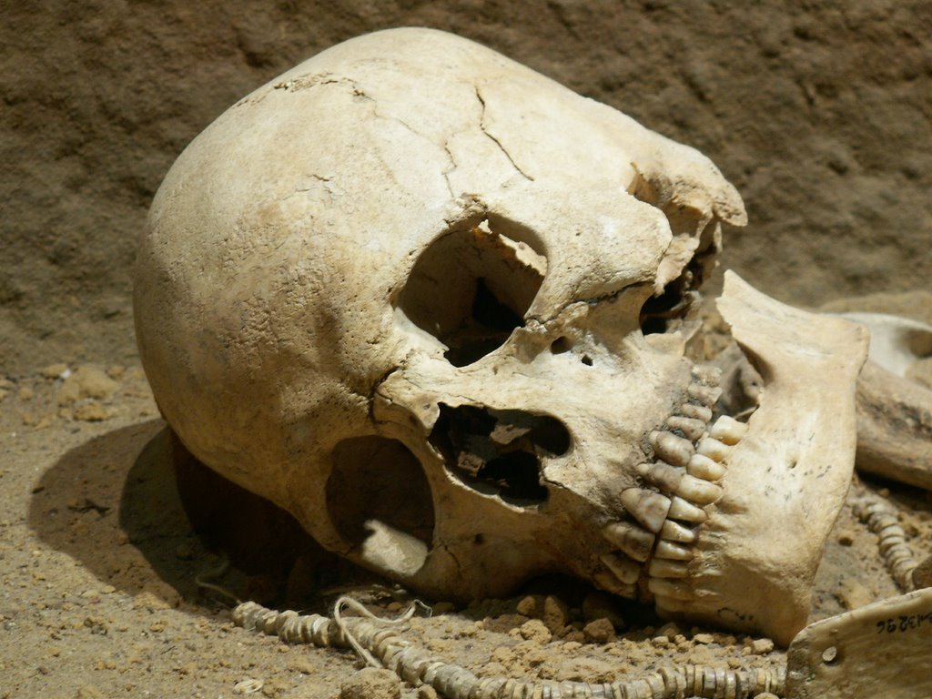 Autoritatile franceze au gasit un craniu pe care scria 