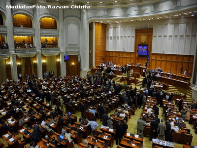 Senatul a respins inlocuirea termenului 'rom' cu 'tigan'