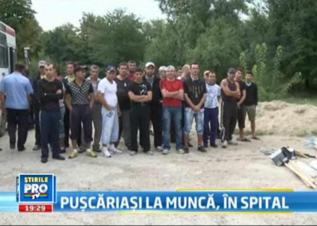 11.000 de euro in schimbul a 60 de detinuti care sa construiasca un parc la Institutul Fundeni