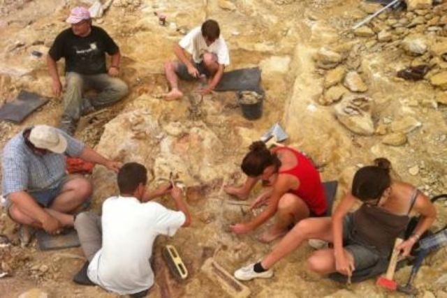 Franta a identificat “dinozaurul tigan”. Descoperirea care aduce o grava jignire Romaniei