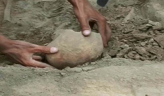 Doua cranii, cateva fragmente osoase si 15 cartuse, gasite intr-o padure din Gorj. Politia a deschis o ancheta