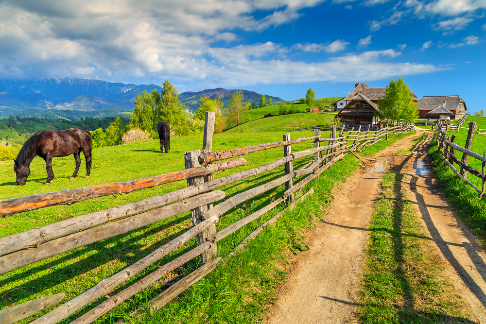 Romania, pe harta turismului european la pas. Doua trasee turistice de lunga distanta vor traversa Muntii Carpati