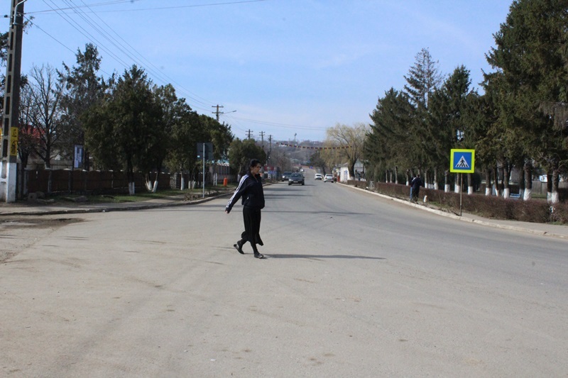 Un primar din Botoșani i-a pus la muncă pe beneficiarii de ajutoare sociale. Ce au făcut 200 dintre ei