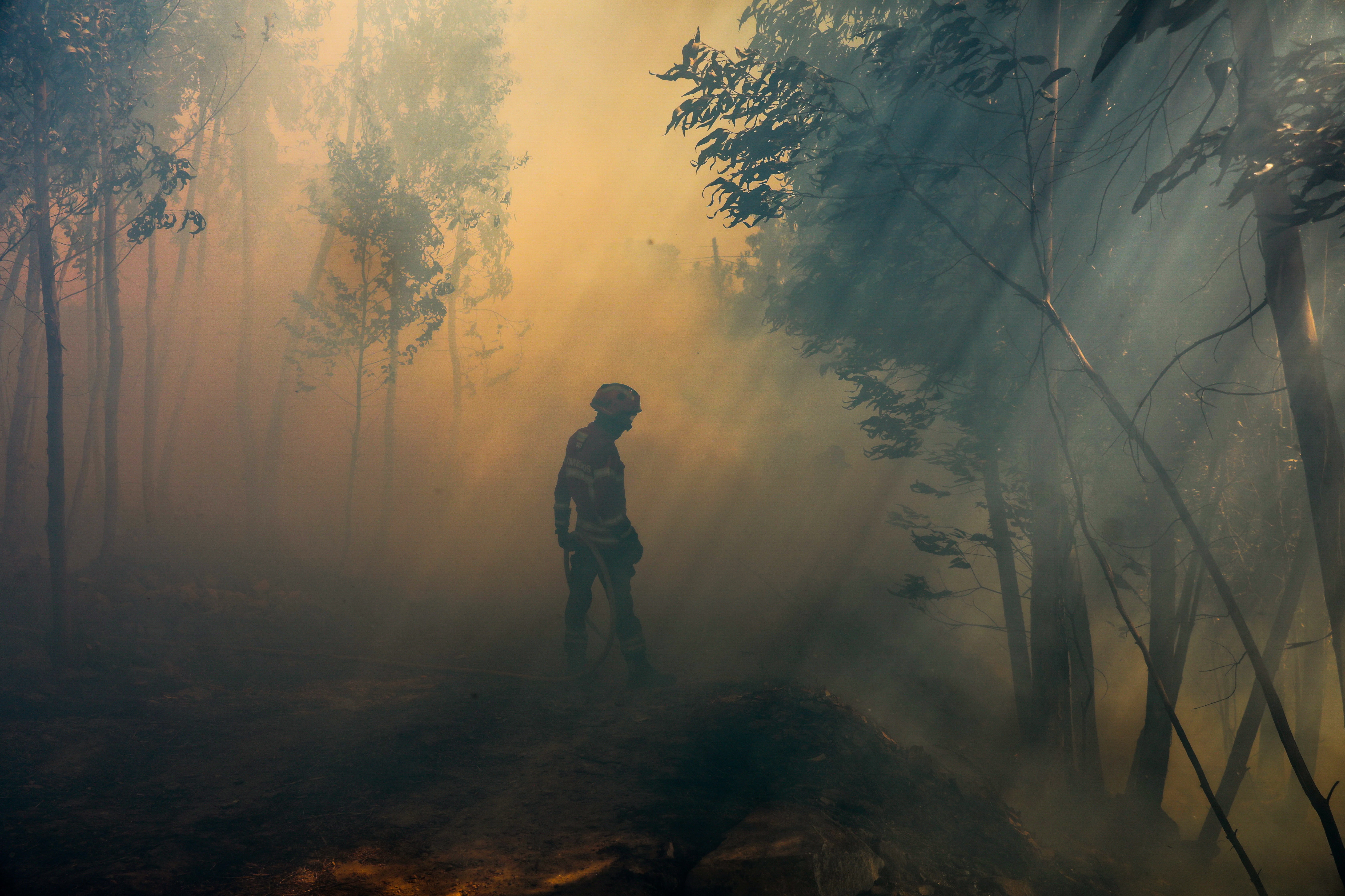 Un pompier era să ardă de viu când stingea un incendiu de vegetaţie. 