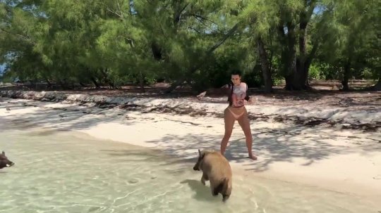 Kim Kardashian, surprinsă pe o plajă din Bahamas în timp ce fugea de porci: „M-am speriat”