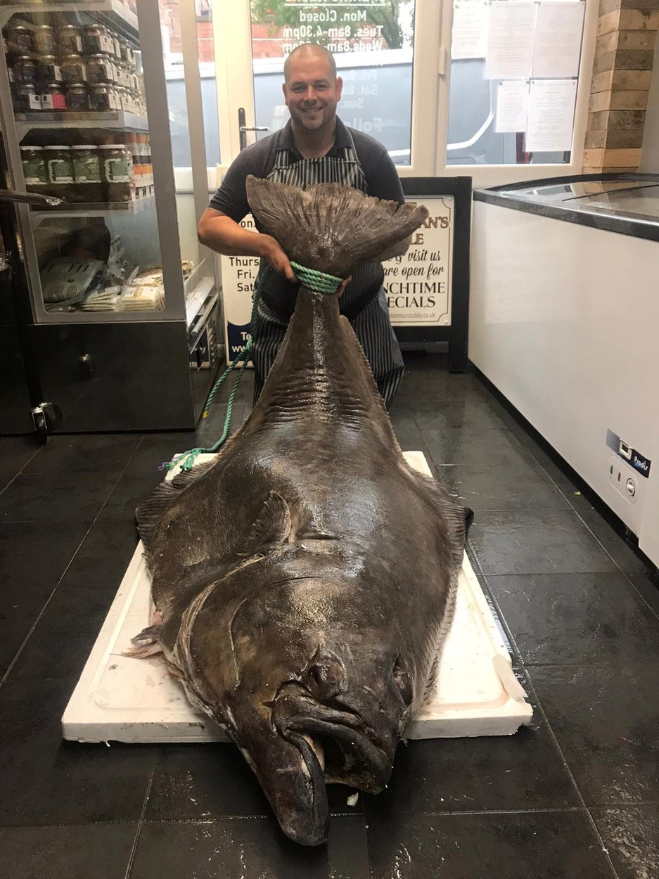 Captură impresionantă. Cum arată peștele de 134 de kilograme, în vârstă de 80 de ani. GALERIE FOTO - Imaginea 2