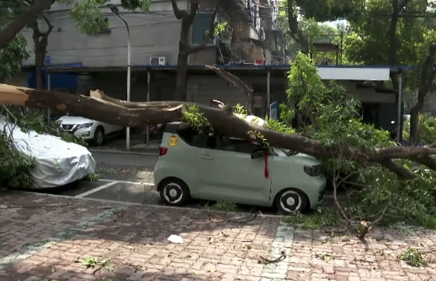 Un taifun a făcut prăpăd într-un oraș din China. Curățenia va dura cel puțin o săptămână