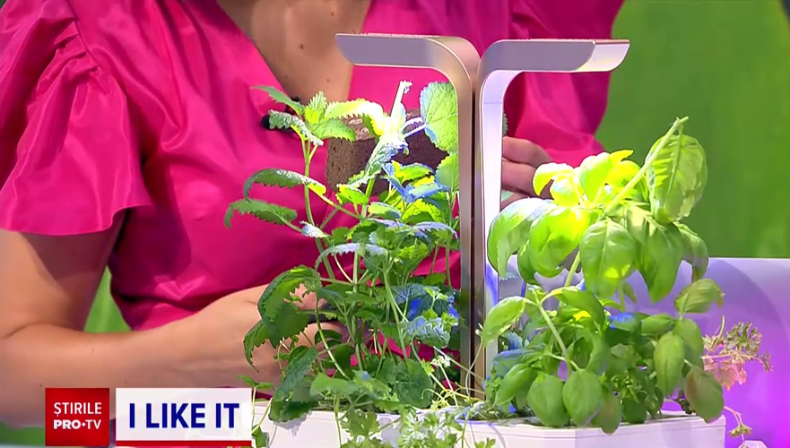 iLikeIT. Cum putem crește plante acasă, în orice condiții, cu ajutorul unor jardiniere smart
