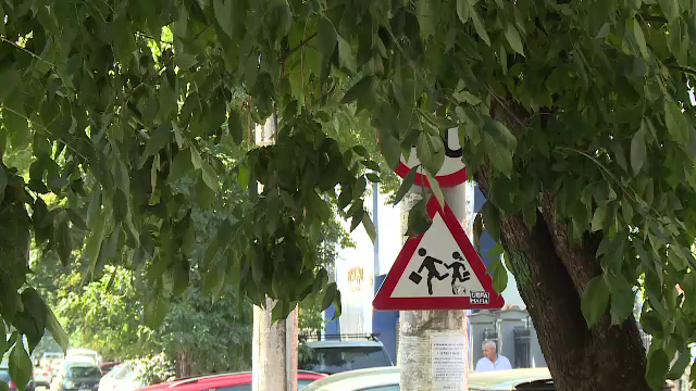 Sute de indicatoare rutiere şi semafoare, acoperite de pomi şi de tufişuri netăiate, în București. Ce spun autoritățile