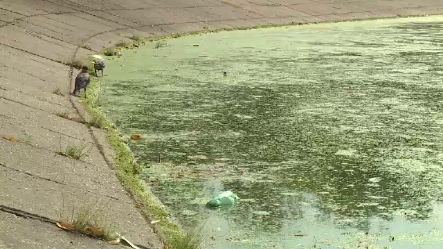 Parcurile din București se sufocă de gunoaie. „Nici flori nu mai sunt, asfaltul e terminat”