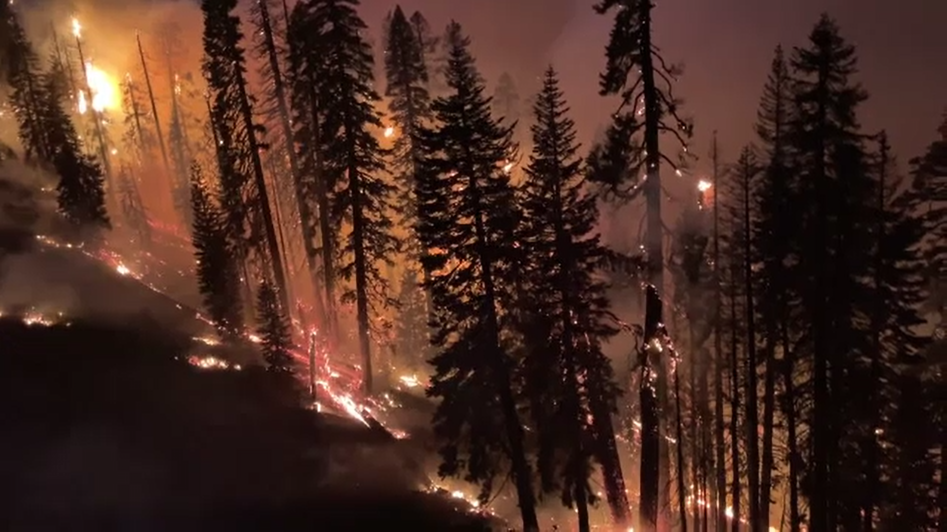 Peste 22.000 de americani au fost evacuați din calea unui incendiu care face ravagii în California
