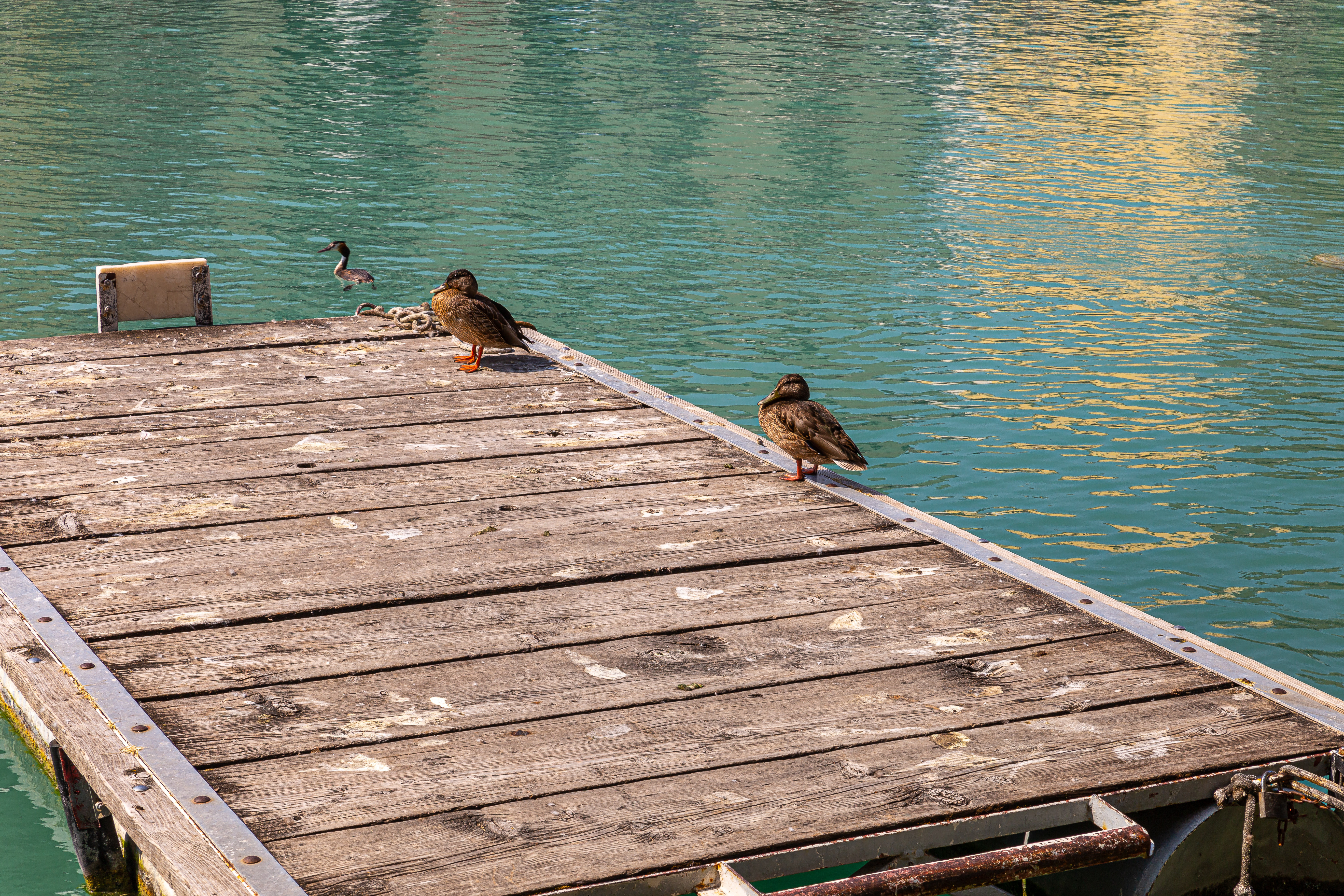 Nivelul de apă foarte scăzut al lacului Garda, Italia, șochează turiștii. „Apa nu mai era acolo” | GALERIE FOTO - Imaginea 6
