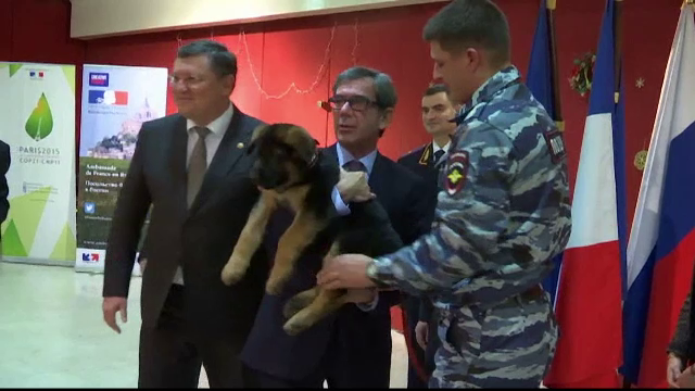 Ambasadorul francez la Moscova l-a primit pe Dobrynya, puiul de ciobanesc daruit de rusi dupa moartea cainelui erou Diesel - Imaginea 1