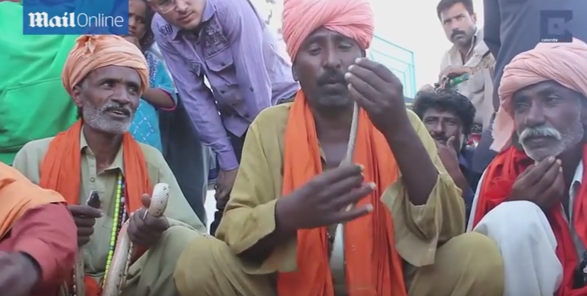 Talentul neobisnuit al unui barbat din Pakistan. Isi introduce serpi veninosi pe nas si-i scoate pe gura. VIDEO