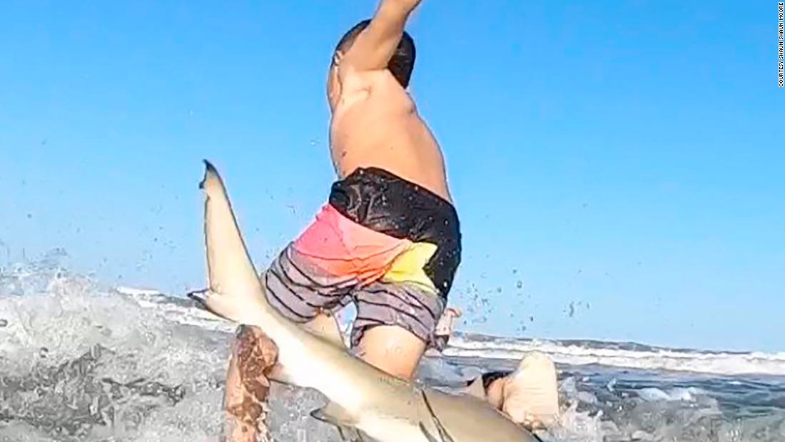 Un băiat de 7 ani a fost doborât de pe placa de surf de un rechin | VIDEO