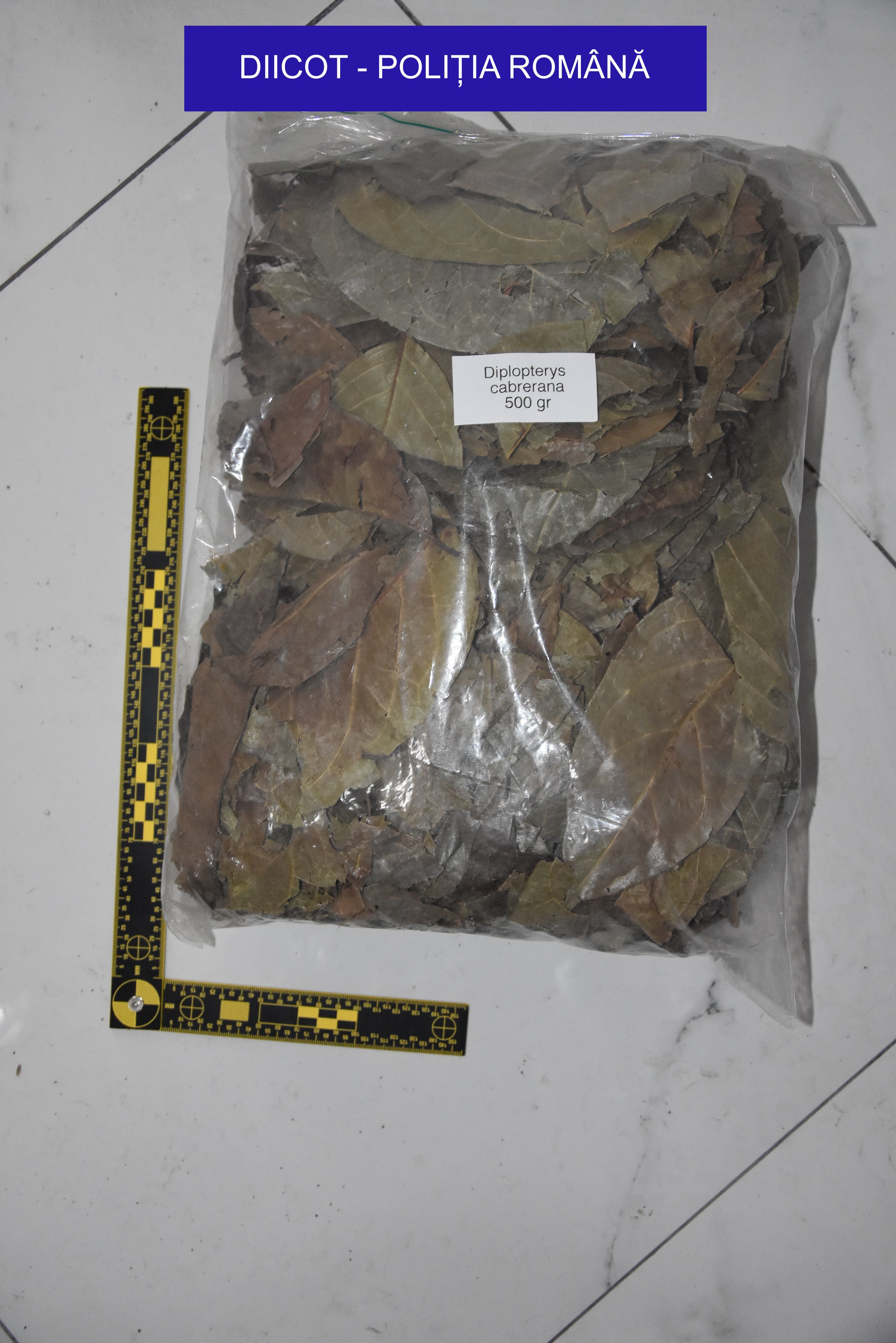 IMAGINI de la ședințele unde se consumau droguri ayahuasca. Ce ustensile se foloseau - Imaginea 10