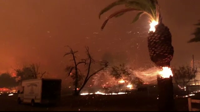 Mai multe incendii violente de vegetaţie au izbucnit în sudul Californiei