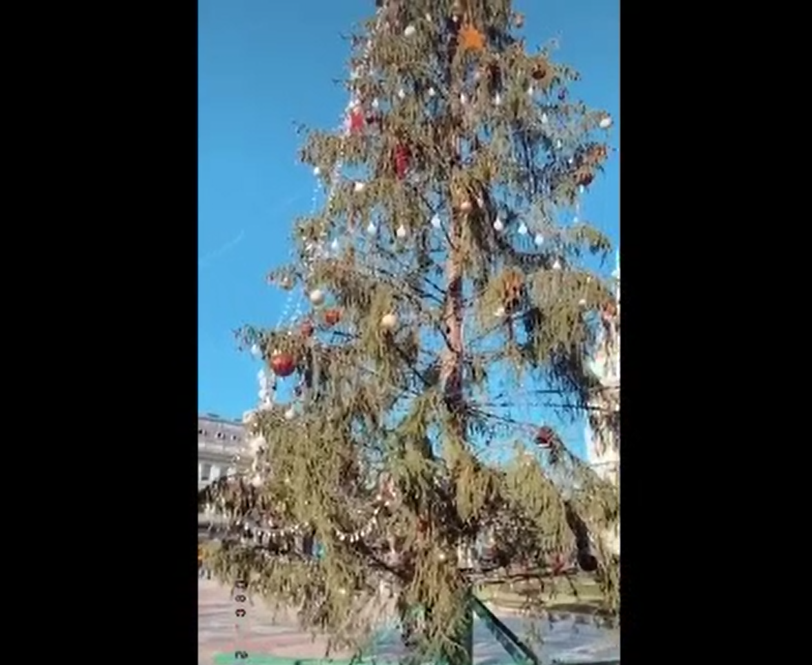 Primăria Arad caută alt brad după ce pomul de Crăciun a ajuns ținta ironiilor localnicilor
