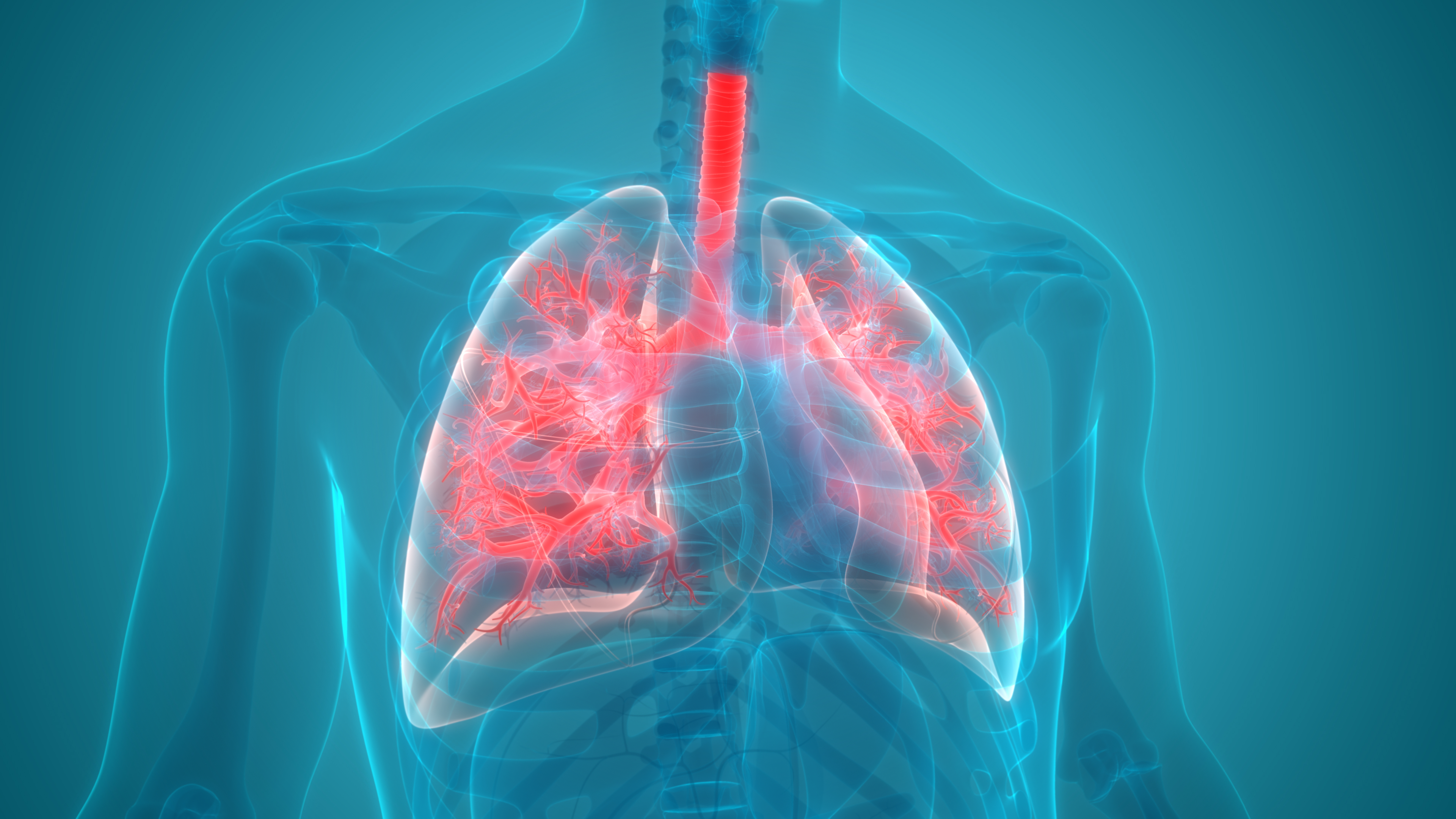 Un medic pneumolog explică problemele respiratorii ale unui pacient vindecat de COVID-19
