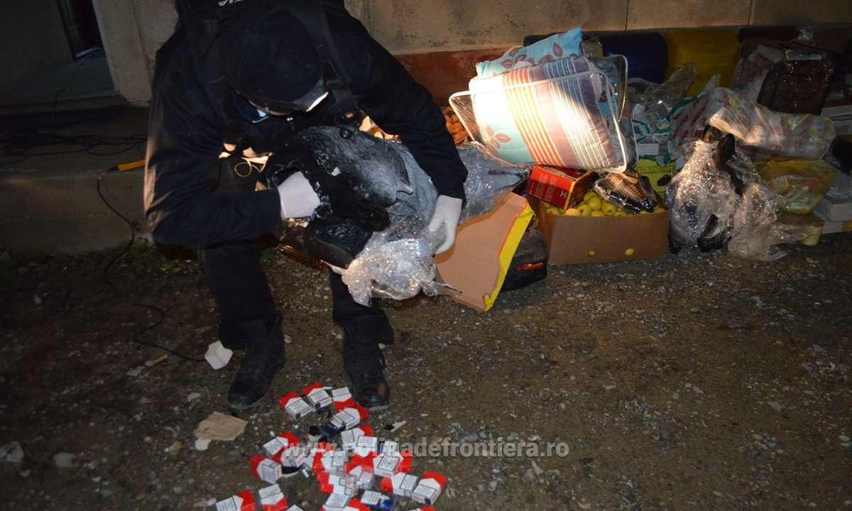Mii de pachete de țigări de contrabandă ascunse în pitici de grădină, descoperite la Botoșani GALERIE FOTO - Imaginea 3