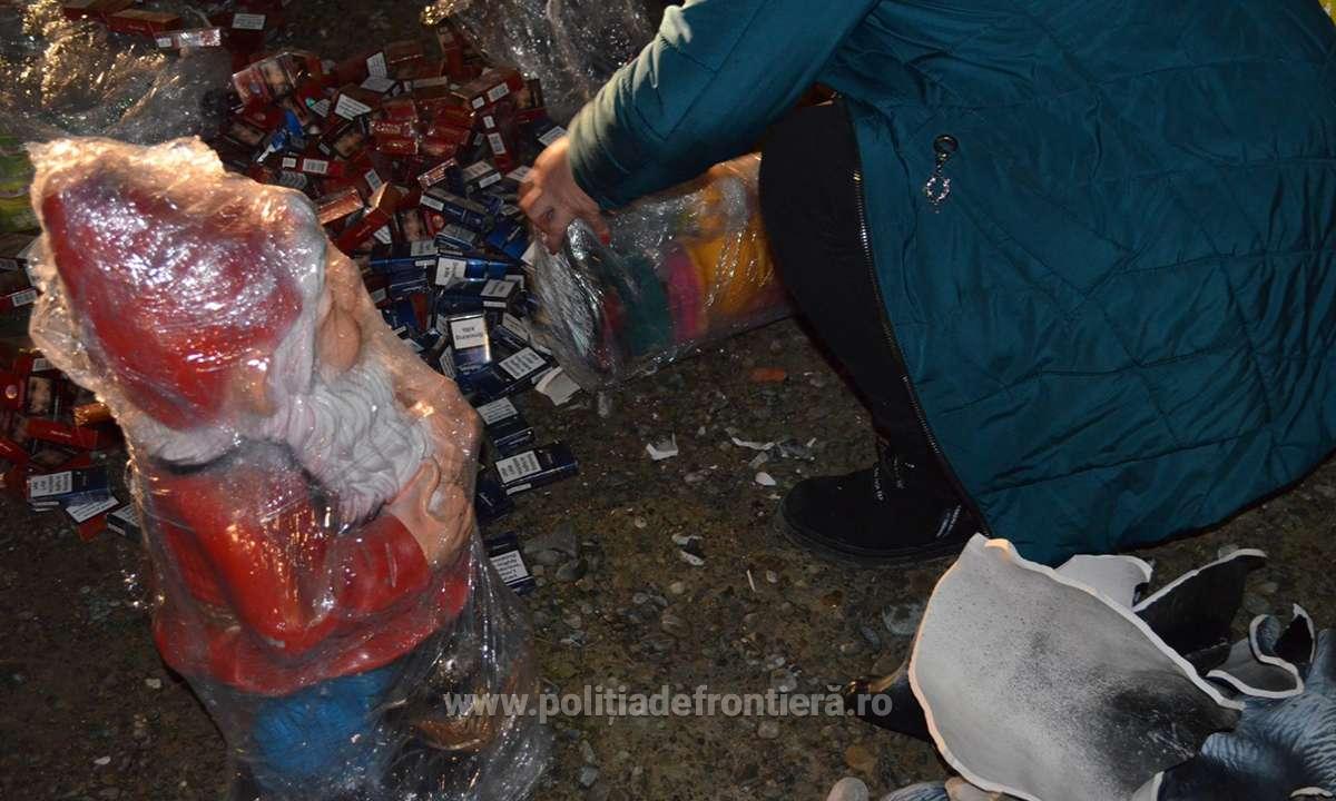 Mii de pachete de țigări de contrabandă ascunse în pitici de grădină, descoperite la Botoșani GALERIE FOTO - Imaginea 5
