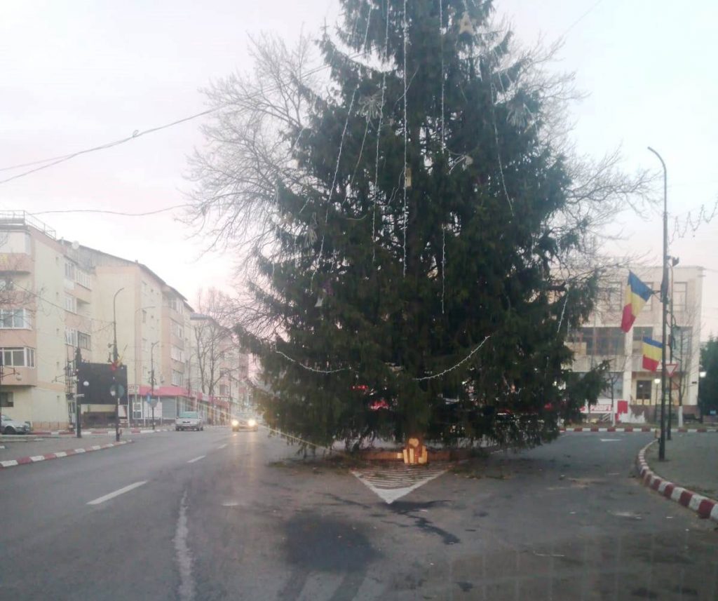 Primăria Panciu a instalat un brad de Crăciun atât de mare, încât mașinile nu mai au pe unde să treacă. Ce a făcut poliția