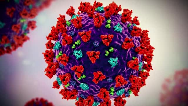 Studiu: Membrana virusului SARS-CoV-2 poate fi dezintegrată prin folosirea apei de gură