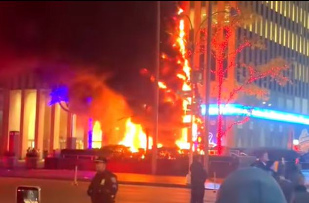 VIDEO Bradul din fața televiziunii Fox News a fost incendiat. Un bărbat a fost arestat
